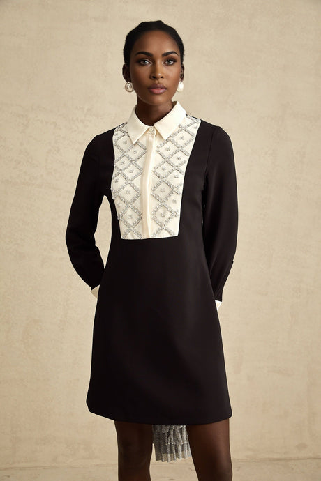 A short sleeveless mini dress with contrasting color accents and embellishments featuring a fitted bodice and flared skirt