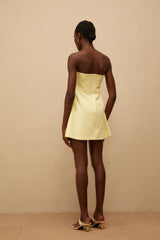 Abigail Yellow Floral Embroidered Mini Dress