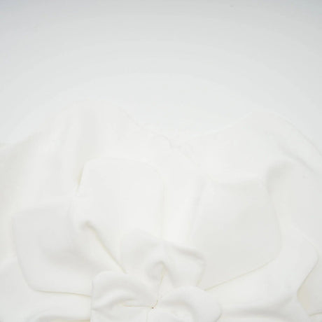Adrianna Floral Top - Off the Shoulder Design - Sleeveless - Floral Appliqu Detailing - Cropped Length
