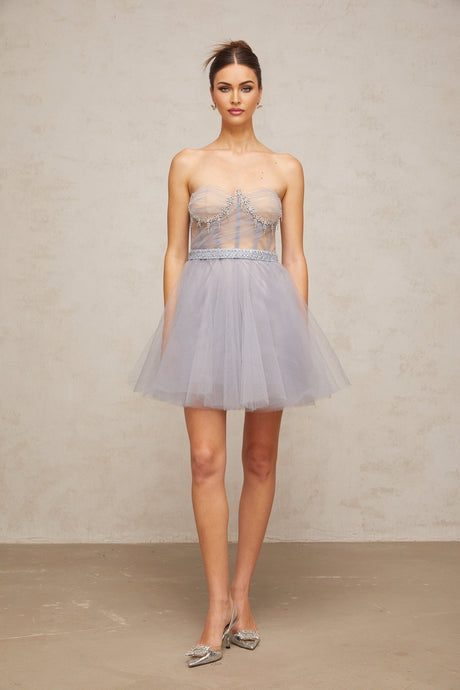 Aloïse grey mini dress with embellished puff sleeves and tulle skirt