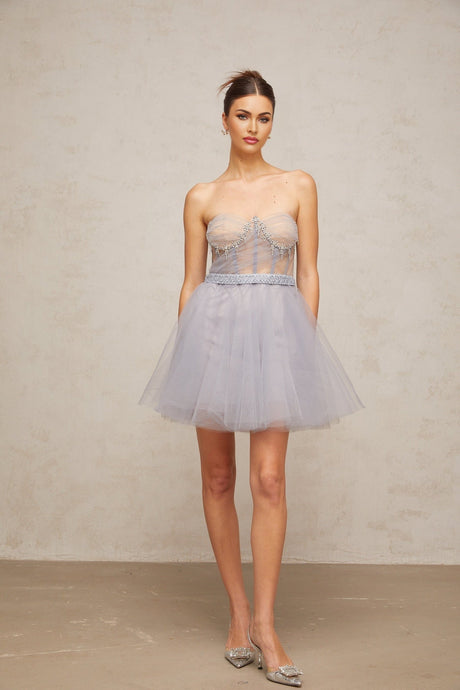 Aloïse grey mini dress with embellishments and puff tulle sleeves on a white background