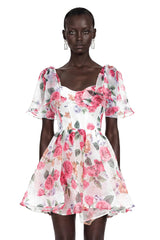 Amy Pink Floral Print Mini Dress with Bow Detail