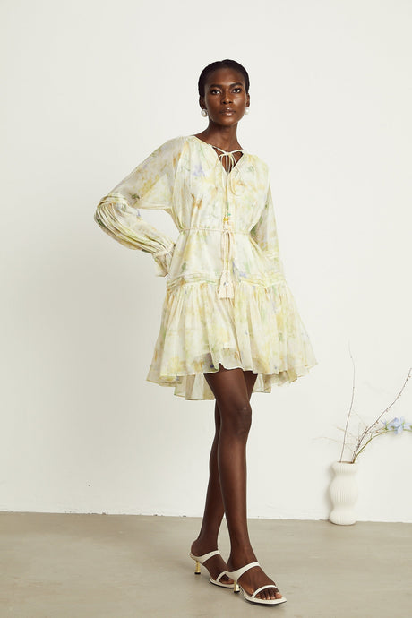 Anaël floralprint flared mini dress