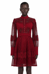 Annie Burgundy Lace Stand Neck Mini Dress