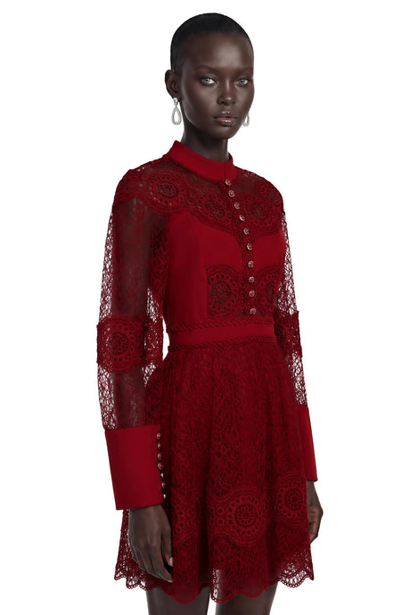 Annie Burgundy Lace Stand Neck Mini Dress