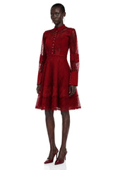 Annie Burgundy Lace Stand Neck Mini Dress