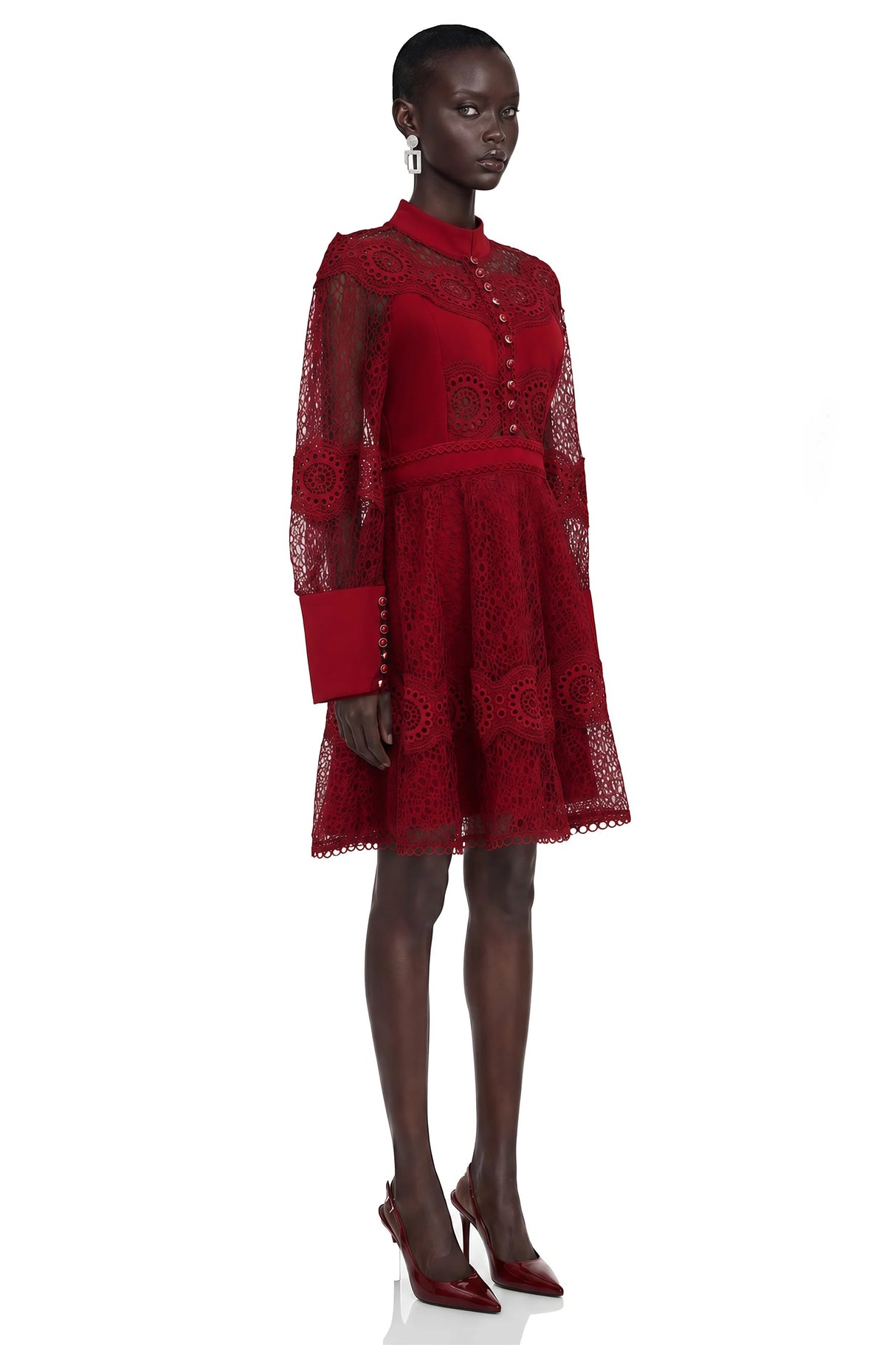 Annie Burgundy Lace Stand Neck Mini Dress