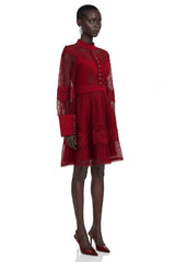 Annie Burgundy Lace Stand Neck Mini Dress