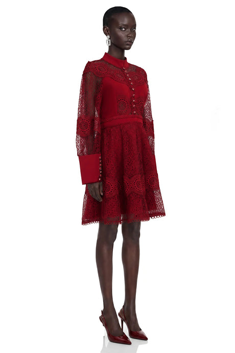 Annie Burgundy Lace Stand Neck Mini Dress