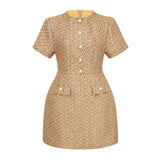 Arna Gold Round Neck Tweed Mini Dress