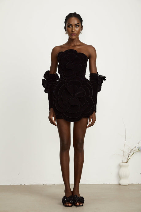 Azura floralappliqué mini dress in Black