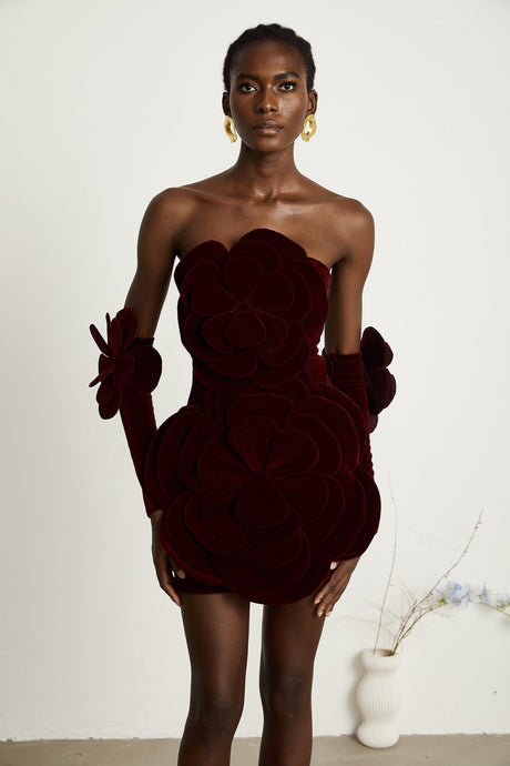 Azura floralappliqué mini dress in Red