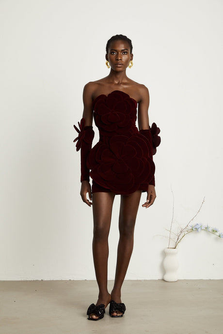 Azura floralappliqué mini dress in Red