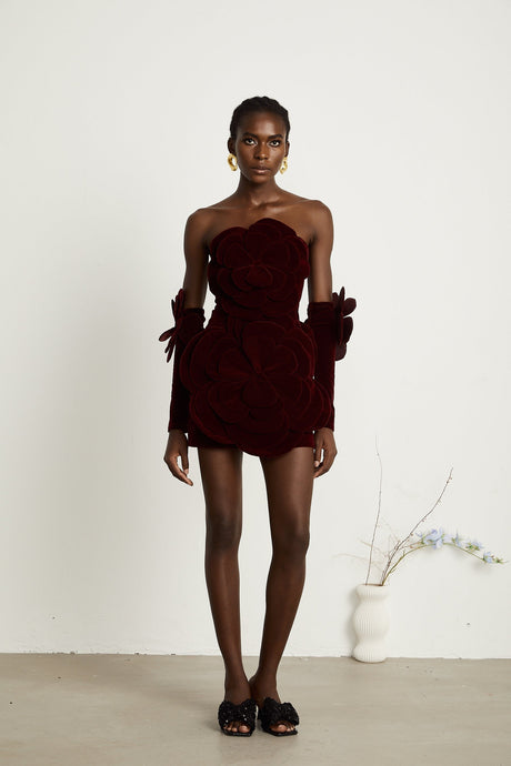 Azura floralappliqué mini dress in Red