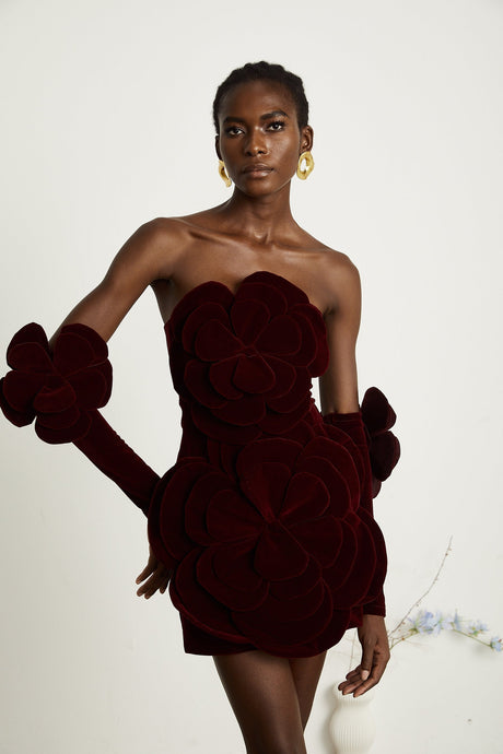 Azura floralappliqué mini dress in Red
