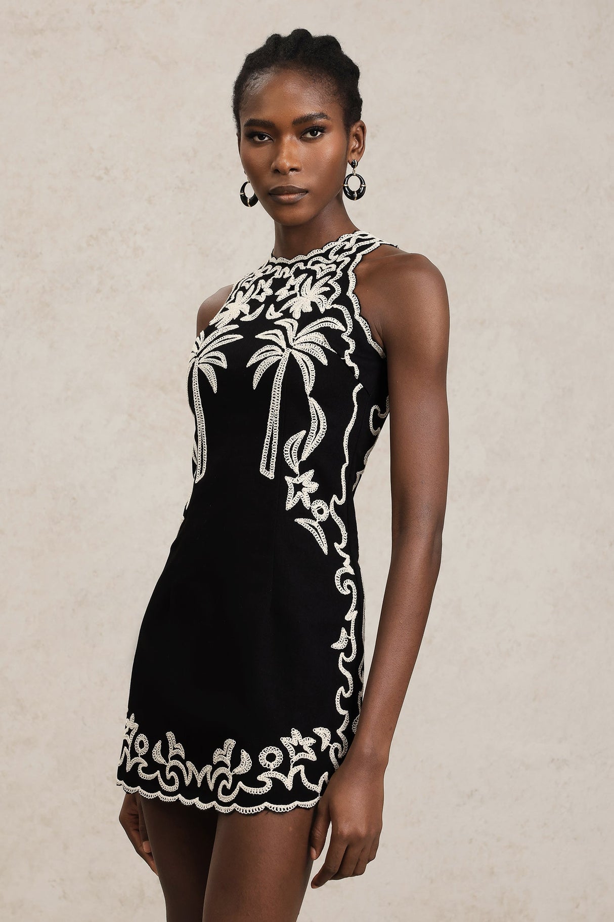 Beata Black Embroidered Sleeveless Dress