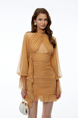 Bianca Brown Puff Sleeve Ruched Mini Dress