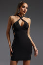 Black Veren Halter Sleeveless V-Neck Hollow Out Bandage Mini Dress