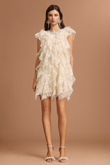 Camila Beige Lace Diamond Detail Mini Dress