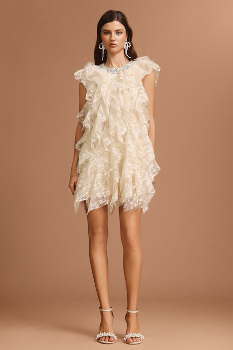 Camila Beige Lace Diamond Detail Mini Dress