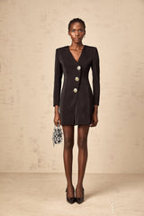 Camryn Mini Dress - V - Neck - Long Sleeves - Lion Head Motif