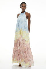 Cassidy Multicolor Floral Maxi Dress
