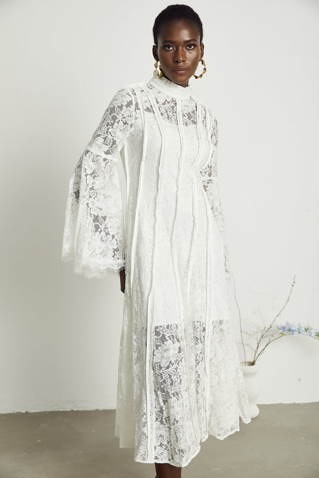 Céline lace cutout midi dress