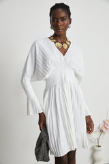 Claudette Vneck pleated mini dress