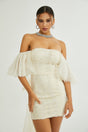 Coline sequinembellished mesh dress