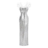 Cressida Silver Sparkly Embellished Maxi Dress