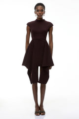 Dakota Brown Mini Dress with Ribbon