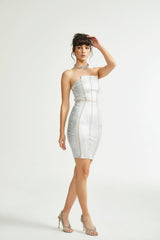 Danica silver bandage mini dress