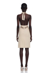 Ella Neutral Halterneck Lace Panel Mini Dress