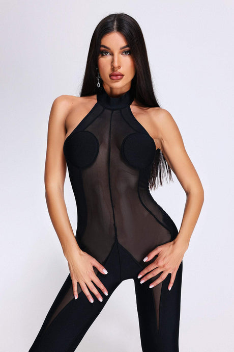 Emanuela Black Mesh High Neckline Flared Jumpsuit