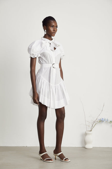 Emmanuela floralembroidered mini dress