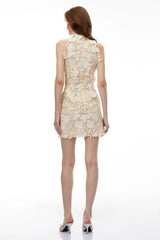 Estelle Neutral High Neck Lace Mini Dress