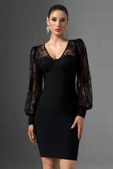 Filippa Black Lace Sleeve V-Neck Dress