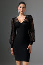 Filippa Black Lace Sleeve V-Neck Dress