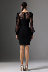 Filippa Black Lace Sleeve V-Neck Dress