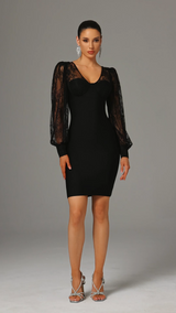 Filippa Black Lace Sleeve V-Neck Dress Elegant Modern Style
