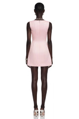 Flora Pink ALine Mini Dress with Floral Applique
