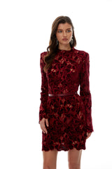 Hafdis Red Floral Embroidered Mini Dress