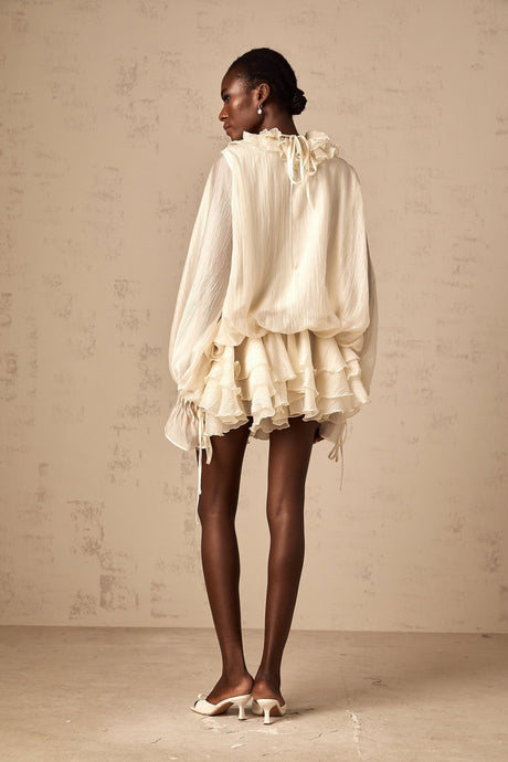 Holland Mini Dress – V - neck – Long Puff Sleeves – Floral Appliqué