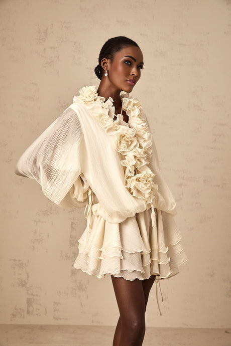 Holland Mini Dress – V - neck – Long Puff Sleeves – Floral Appliqué