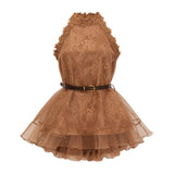 Holly Chocolate Brown Halterneck Mesh Mini Dress