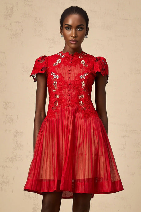 Holly Mini Dress Red Flower Embroidered & Pleated
