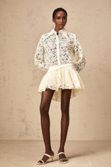 Iliana Mini Dress - Straight - Point Collar - Long Sleeves - Floral Lace and Ruched Detailing