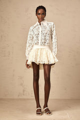 Iliana Mini Dress - Straight - Point Collar - Long Sleeves - Floral Lace and Ruched Detailing