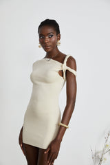 Laila Mini Dress with Asymmetrical Design