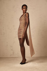 Lia Mini Dress Brown Rhinestone Ribbon Ruched Zip & Thigh Length